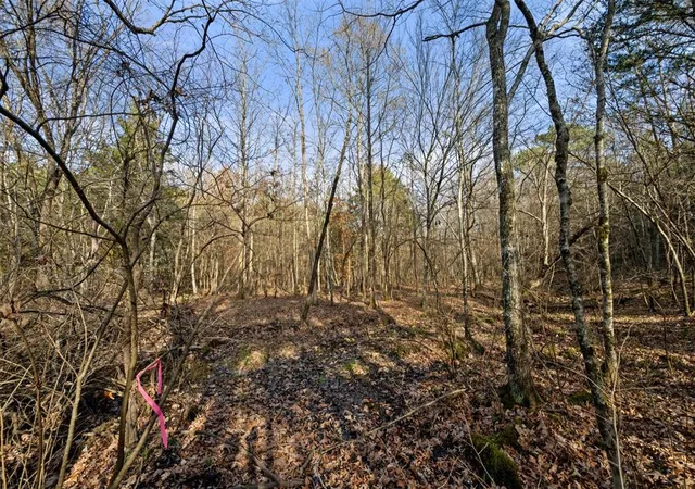 Photo 4 of Land for sale at 316 Marked Pine Ln, Broken Bow, OK 74728 | MLS# 1211675 | Listing updated on 2026-04-12
