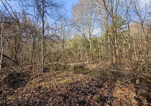 Photo 5 of Land for sale at 316 Marked Pine Ln, Broken Bow, OK 74728 | MLS# 1211675 | Listing updated on 2026-04-12