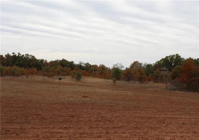 4th image of E 850 Rd, Chandler, OK 74834 | MLS# 1216323