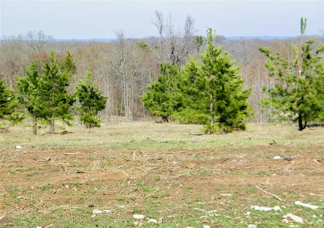 1st image of E Washington St #Lot A, Idabel, OK 74745 | MLS# 1217067