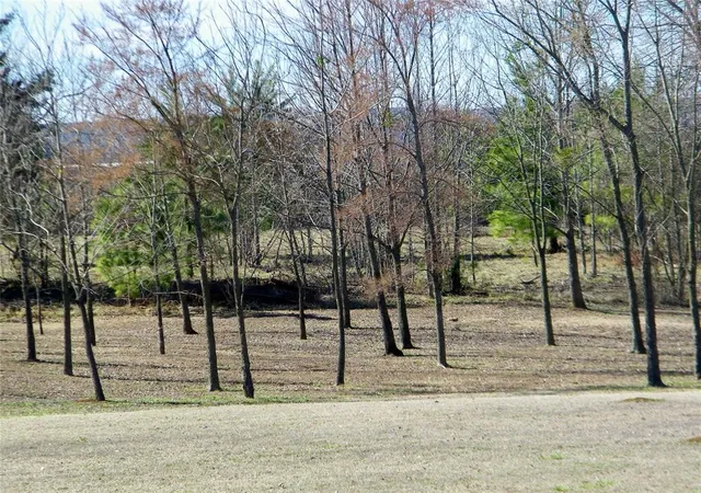 Homes for sale in Idabel, OK | E Washington St #Lot 4, Idabel, OK 74745 | MLS# 1217070