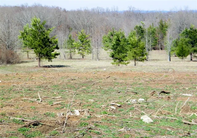 Homes for sale in Idabel, OK | Oak Brook Dr #Lot 5, Idabel, OK 74745 | MLS# 1217072