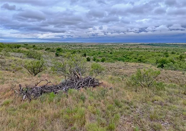 Photo 4 of Land for sale at 65 N 1870 Road, Mangum, OK 73550 | MLS# 1217598 | Listing updated on 2026-05-01