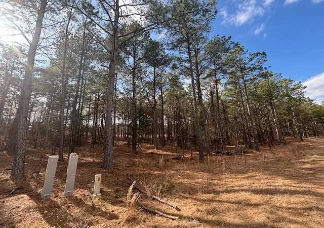 Photo 1 of Land for sale at 15 Middle Meddock Ln, Broken Bow, OK 74728 | MLS# 1217728 | Listing updated on 2026-03-08