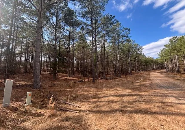 Photo 2 of Land for sale at 15 Middle Meddock Ln, Broken Bow, OK 74728 | MLS# 1217728 | Listing updated on 2026-03-08