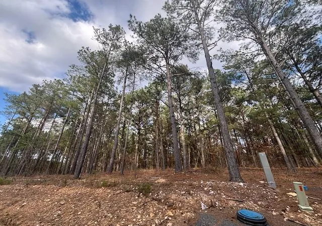 Photo 1 of Land for sale at 106 Turkey Roost Trl, Broken Bow, OK 74728 | MLS# 1217745 | Listing updated on 2026-03-08