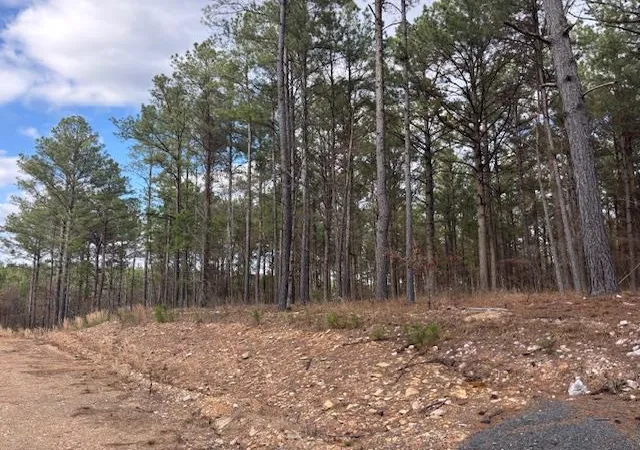 Photo 2 of Land for sale at 106 Turkey Roost Trl, Broken Bow, OK 74728 | MLS# 1217745 | Listing updated on 2026-03-08