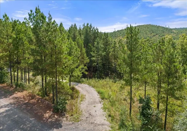 Homes for sale in Broken Bow, OK | 258 Boulder Crk, Broken Bow, OK 74728 | MLS# 1217834