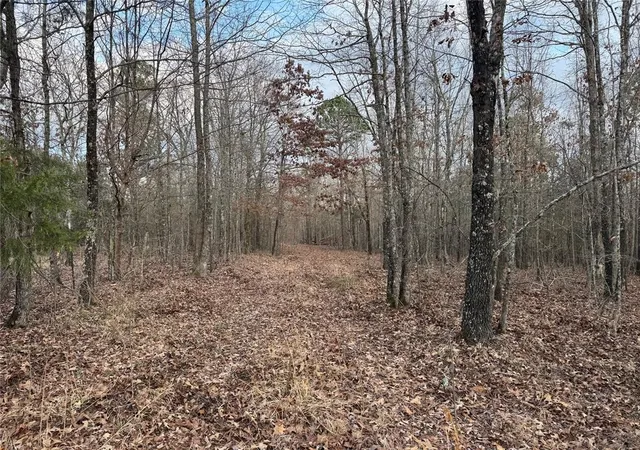 5th image of Timber Oak Trail Trail, Broken Bow, OK 74728 | MLS# 1217919