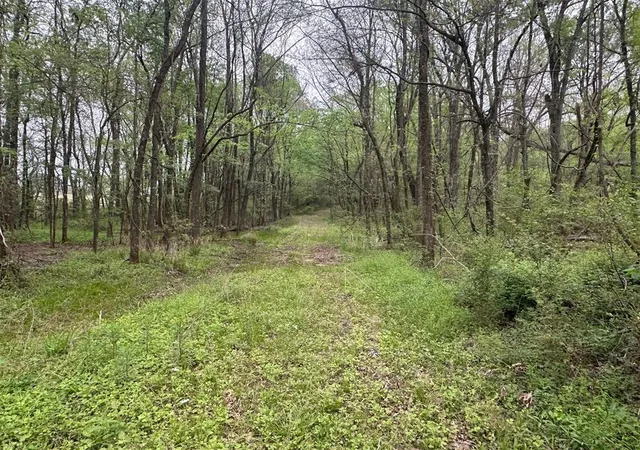 Homes for sale in Idabel, OK | 226 Butler Pool Rd, Idabel, OK 74745 | MLS# 1219295