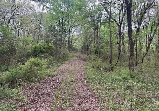 Homes for sale in Idabel, OK | 226 Butler Pool Rd, Idabel, OK 74745 | MLS# 1219295