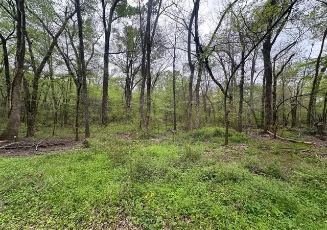 Homes for sale in Idabel, OK | 226 Butler Pool Rd, Idabel, OK 74745 | MLS# 1219295
