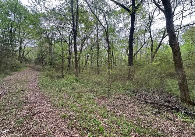 Homes for sale in Idabel, OK | 226 Butler Pool Rd, Idabel, OK 74745 | MLS# 1219295