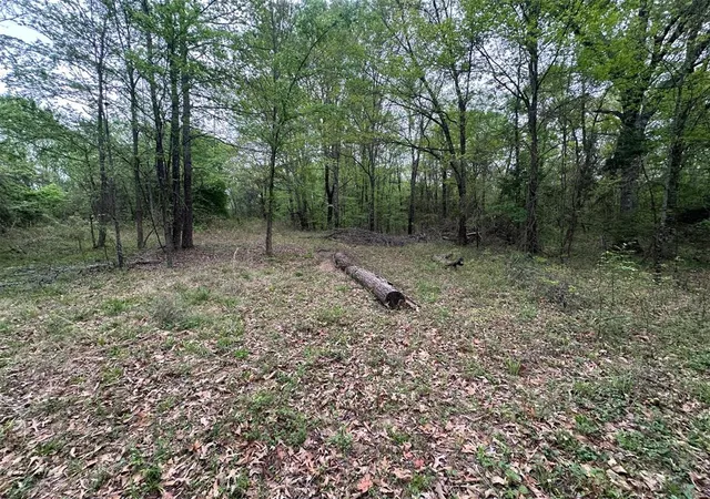 Homes for sale in Idabel, OK | 226 Butler Pool Rd, Idabel, OK 74745 | MLS# 1219295