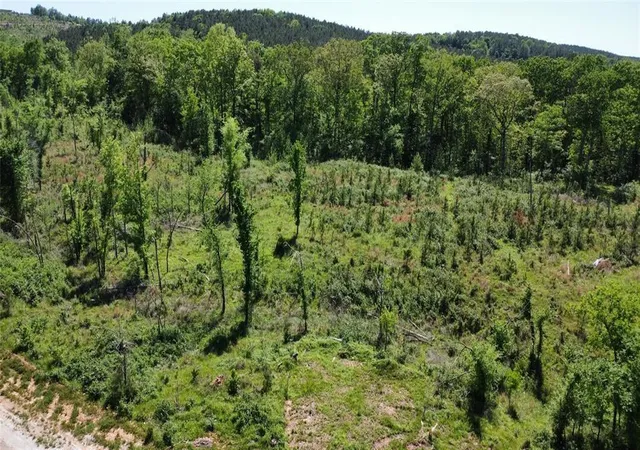 Photo 4 of Land for sale at 71 Woodland Ridge Trl, Broken Bow, OK 74728 | MLS# 1219483 | Listing updated on 2026-03-17