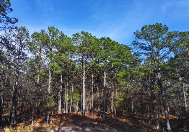 Photo 1 of Land for sale at 108 Hills Crk Trl, Broken Bow, OK 74728 | MLS# 1219511 | Listing updated on 2026-05-05