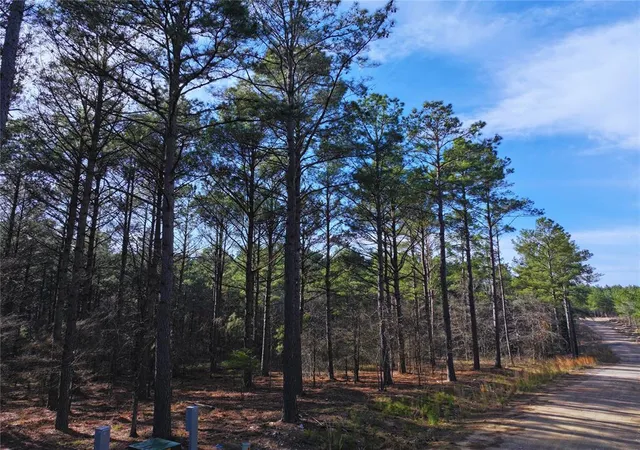 Photo 2 of Land for sale at 152 Turkey Roost Trl, Broken Bow, OK 74728 | MLS# 1219521 | Listing updated on 2026-10-08