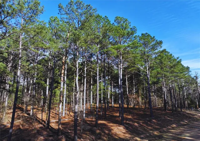 Photo 3 of Land for sale at 152 Turkey Roost Trl, Broken Bow, OK 74728 | MLS# 1219521 | Listing updated on 2026-10-08