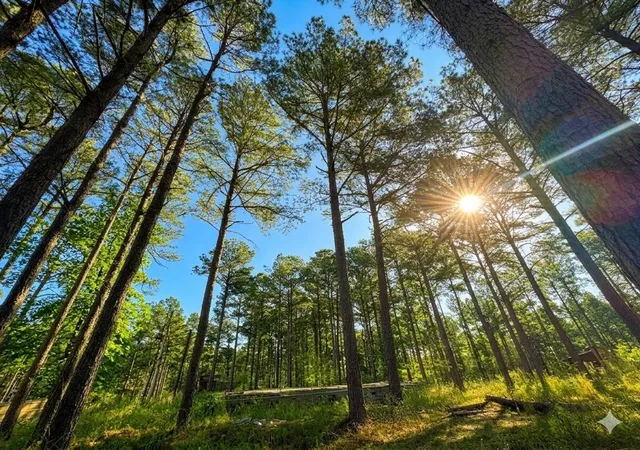 Photo 1 of Land for sale at 114 Alumacraft Trl, Broken Bow, OK 74728 | MLS# 1220114 | Listing updated on 2026-08-22