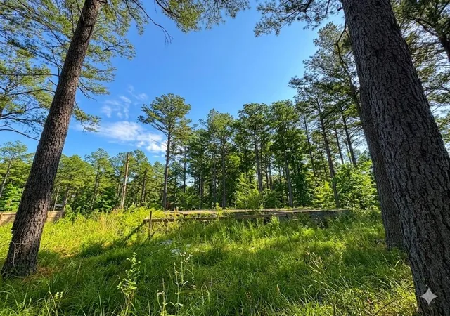 Photo 3 of Land for sale at 114 Alumacraft Trl, Broken Bow, OK 74728 | MLS# 1220114 | Listing updated on 2026-08-22