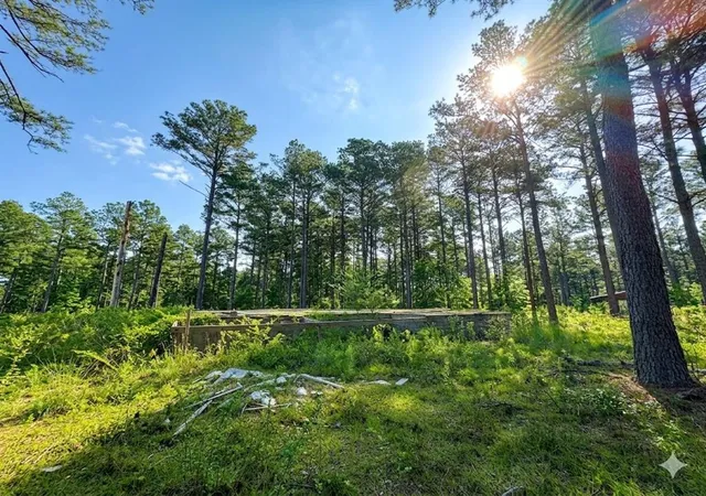 Photo 4 of Land for sale at 114 Alumacraft Trl, Broken Bow, OK 74728 | MLS# 1220114 | Listing updated on 2026-08-22