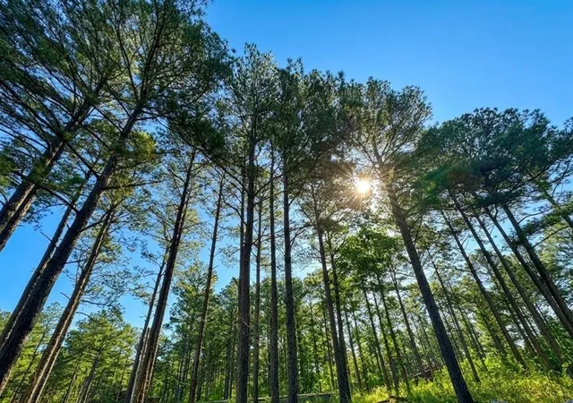 Photo 6 of Land for sale at 114 Alumacraft Trl, Broken Bow, OK 74728 | MLS# 1220114 | Listing updated on 2026-08-22