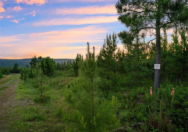 3rd image of 393 Overcup Oak Trl, Broken Bow, OK 74728 | MLS# 1220246