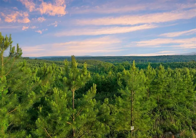 2nd image of 27 Scarlet Oak Trl, Broken Bow, OK 74728 | MLS# 1220249