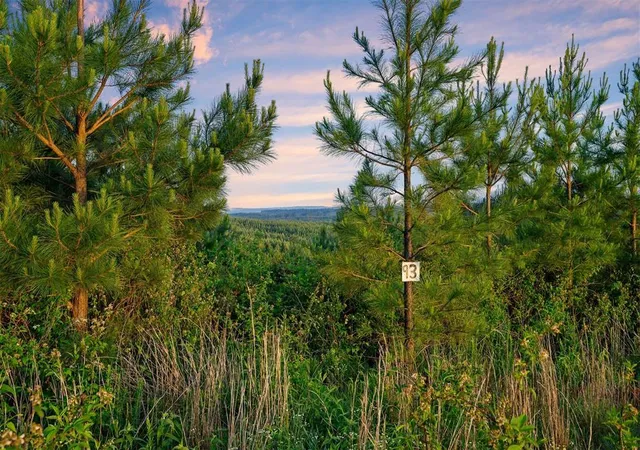 Photo 3 of Land for sale at 27 Scarlet Oak Trl, Broken Bow, OK 74728 | MLS# 1220249 | Listing updated on 2026-03-22