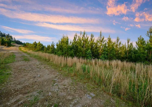 4th image of 27 Scarlet Oak Trl, Broken Bow, OK 74728 | MLS# 1220249