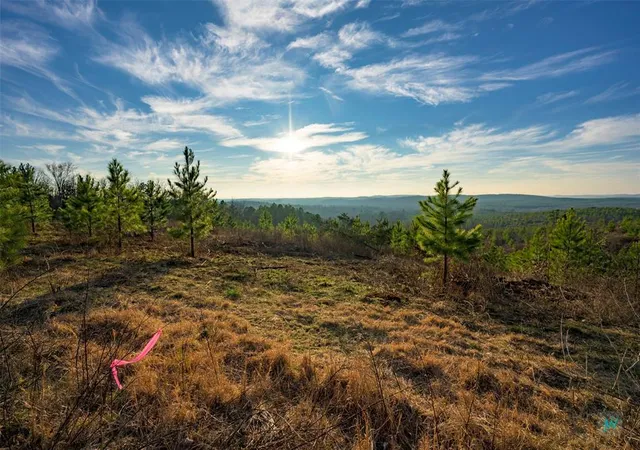 7th image of 593 Woodland Ridge Trl, Broken Bow, OK 74728 | MLS# 1220336