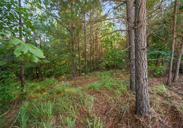 Photo 3 of Land for sale at 163 Legacy Pine Trl, Broken Bow, OK 74728 | MLS# 1220341 | Listing updated on 2026-03-23