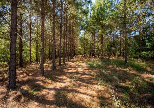 5th image of 173 Legacy Mountain Trl, Broken Bow, OK 74728 | MLS# 1220346
