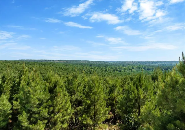 4th image of 38 Legacy Lane Trl, Broken Bow, OK 74728 | MLS# 1220350
