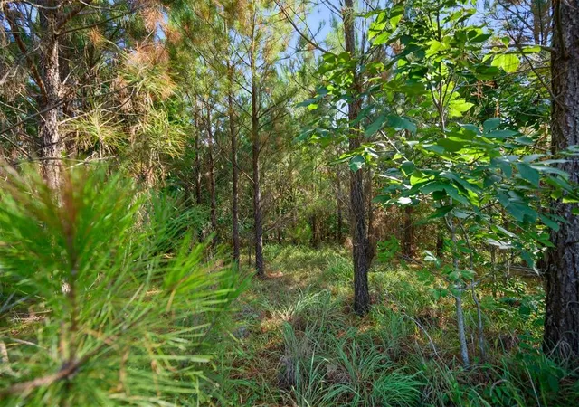 Photo 3 of Land for sale at 127 Legacy Point Trl, Broken Bow, OK 74728 | MLS# 1220355 | Listing updated on 2026-03-23