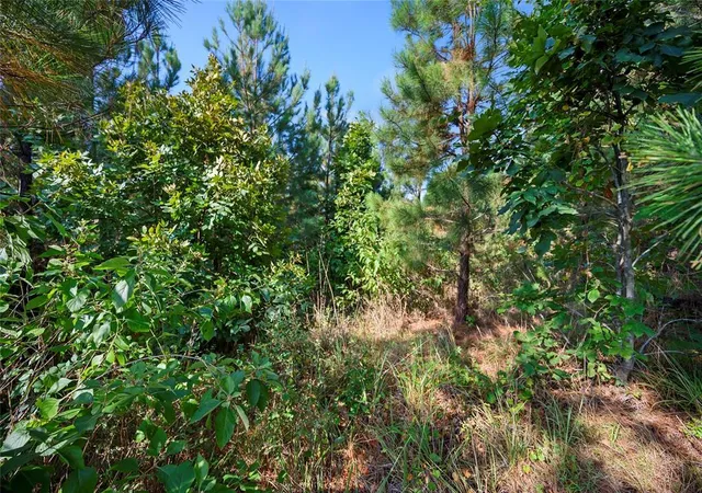 Photo 4 of Land for sale at 86 Legacy Point Trl, Broken Bow, OK 74728 | MLS# 1220359 | Listing updated on 2026-03-23