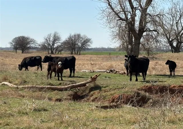 Photo 2 of House for sale at 100 E County Rd 600, Marshall, OK 73056 | MLS# 1220391 | Listing updated on 2026-09-30