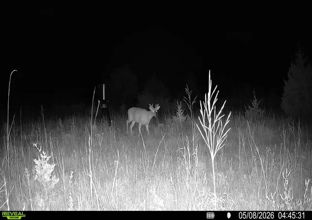 Photo 3 of Land for sale at 40 Acres Mol N Hwy 74, Crescent, OK 73028 | MLS# 1221135 | Listing updated on 2026-06-02