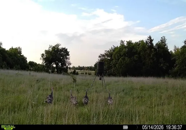 Photo 4 of Land for sale at 160 Acres Mol N Hwy 74, Crescent, OK 73028 | MLS# 1221149 | Listing updated on 2026-06-02