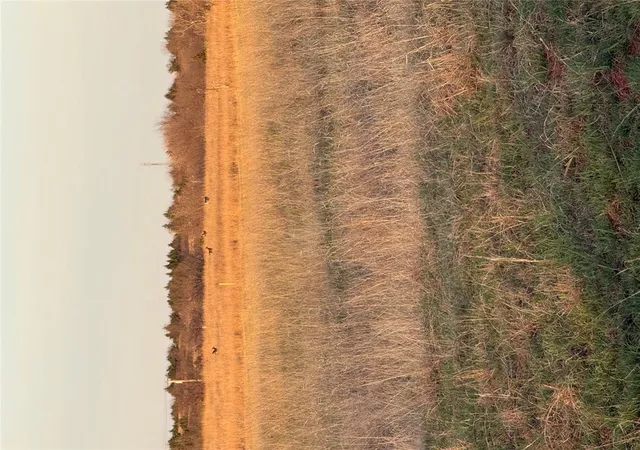 Photo 5 of Land for sale at 160 Acres Mol N Hwy 74, Crescent, OK 73028 | MLS# 1221149 | Listing updated on 2026-06-02