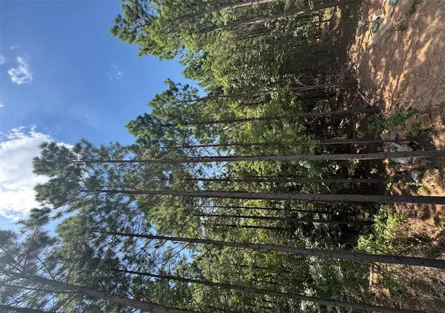 15th image of 1275 Dawn View Wy, Broken Bow, OK 74728 | MLS# 1221927
