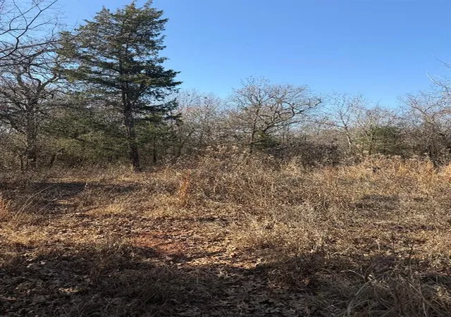 3rd image of 183Rd St, Lexington, OK 73051 | MLS# 1223766