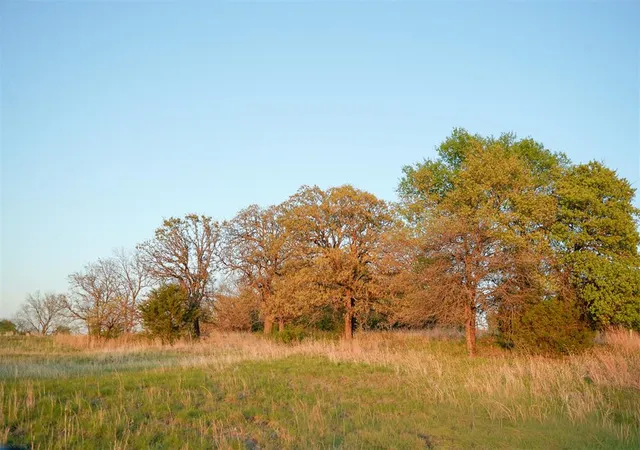 Photo 3 of Land for sale at 19543 NE 164th Street, Luther, OK 73054 | MLS# 1223908 | Listing updated on 2026-04-20