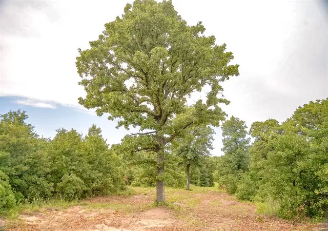 Photo 3 of Land for sale at 19544 Ne 164th Street, Luther, OK 73054 | MLS# 1224345 | Listing updated on 2026-07-08