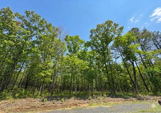 Photo 4 of Land for sale at 2 Hillside Way, Watson, OK 74957 | MLS# 1225809 | Listing updated on 2026-07-24
