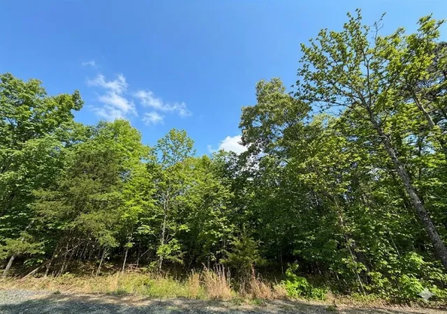 Photo 4 of Land for sale at 5 W Vista Ridge Trl, Watson, OK 74957 | MLS# 1225863 | Listing updated on 2026-07-24