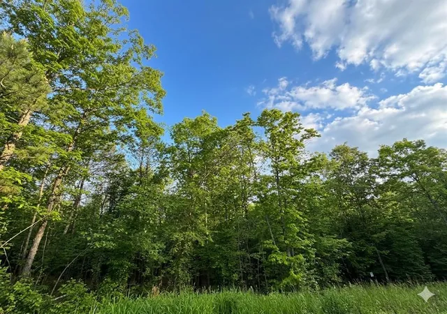 Photo 4 of Land for sale at 7 Vista Ridge Trl, Watson, OK 74957 | MLS# 1225941 | Listing updated on 2026-07-24