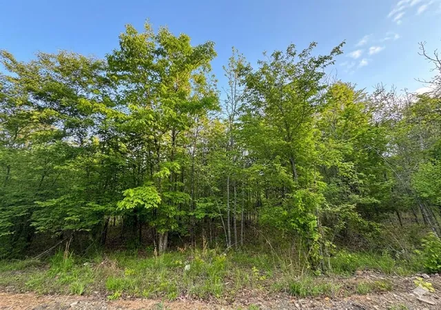 Photo 4 of Land for sale at 9 Vista Ridge Trl, Watson, OK 74957 | MLS# 1225943 | Listing updated on 2026-07-24