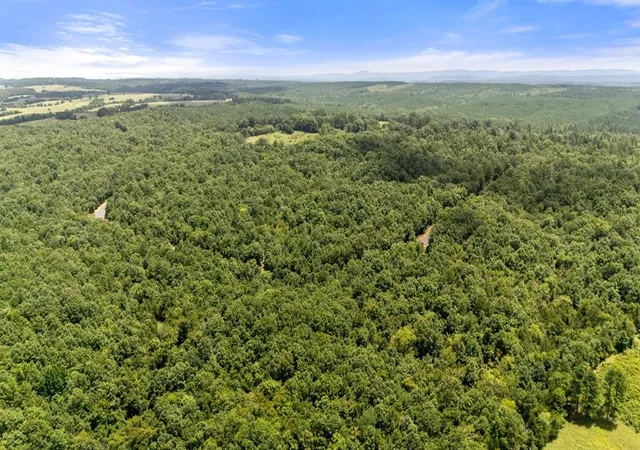 4th image of 19 Vista Rdg, Watson, OK 74728 | MLS# 1226008