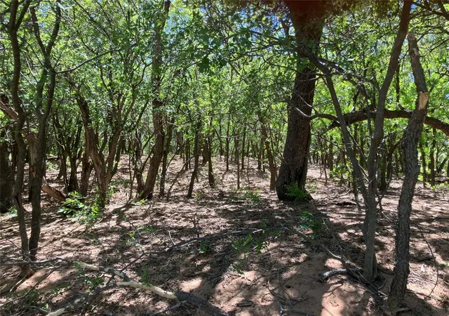 4th image of 000 152 State Hwy, Sayre, OK 73662 | MLS# 1226630